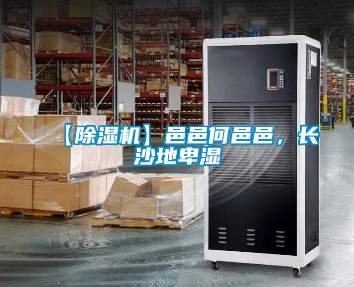 【除濕機】邑邑何邑邑，長沙地卑濕