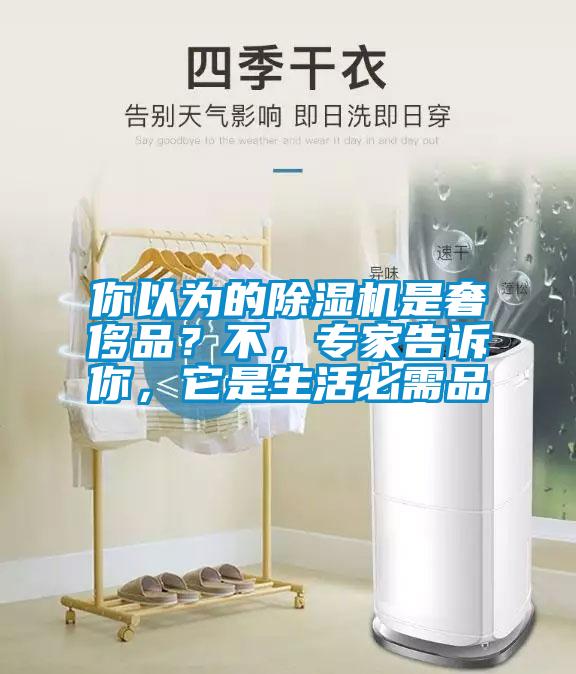 你以為的除濕機是奢侈品？不，專家告訴你，它是生活必需品