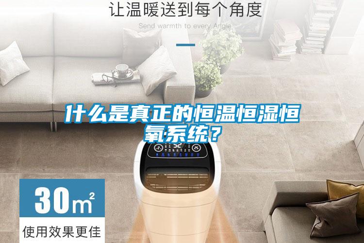 什么是真正的恒溫恒濕恒氧系統？
