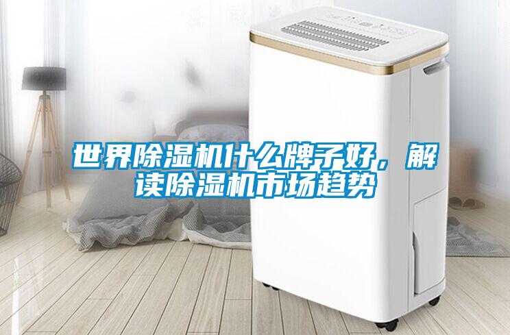 世界除濕機什么牌子好，解讀除濕機市場趨勢