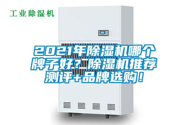 2021年除濕機哪個牌子好？除濕機推薦測評+品牌選購！
