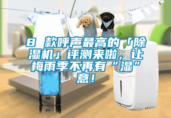 8 款呼聲最高的「除濕機」評測來啦，讓梅雨季不再有“濕”意！
