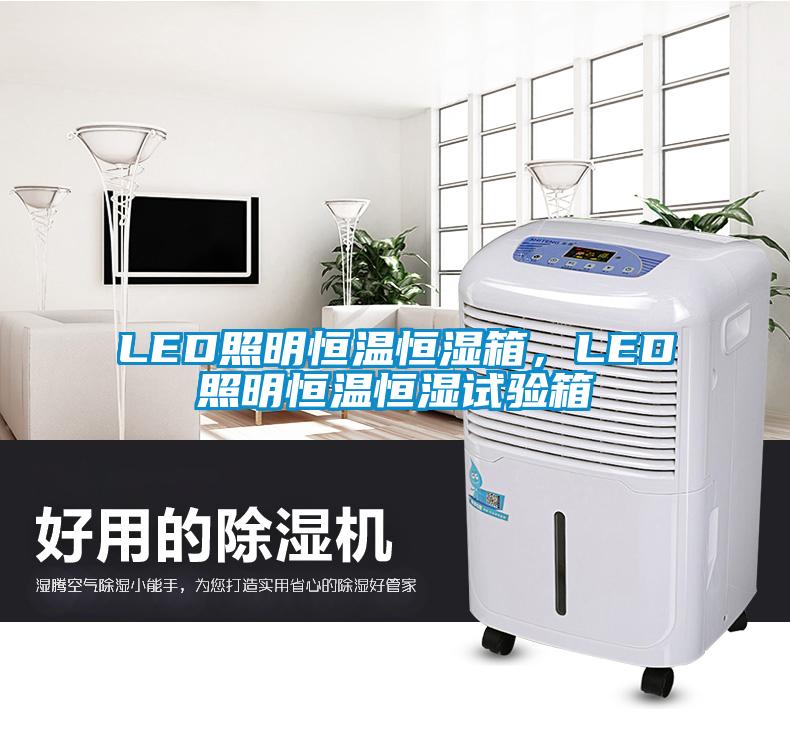 LED照明恒溫恒濕箱，LED照明恒溫恒濕試驗箱