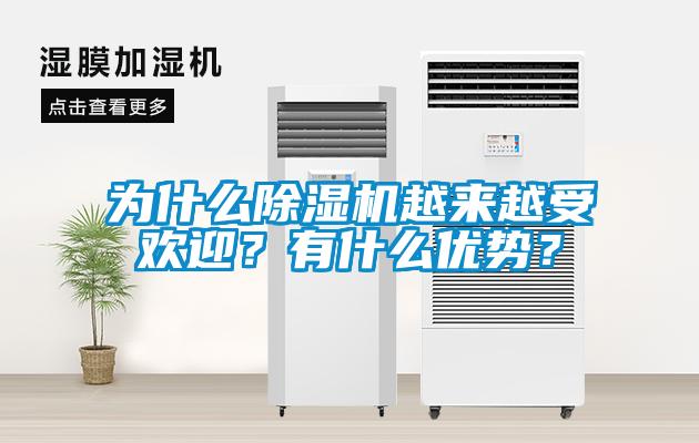 為什么除濕機越來越受歡迎？有什么優勢？