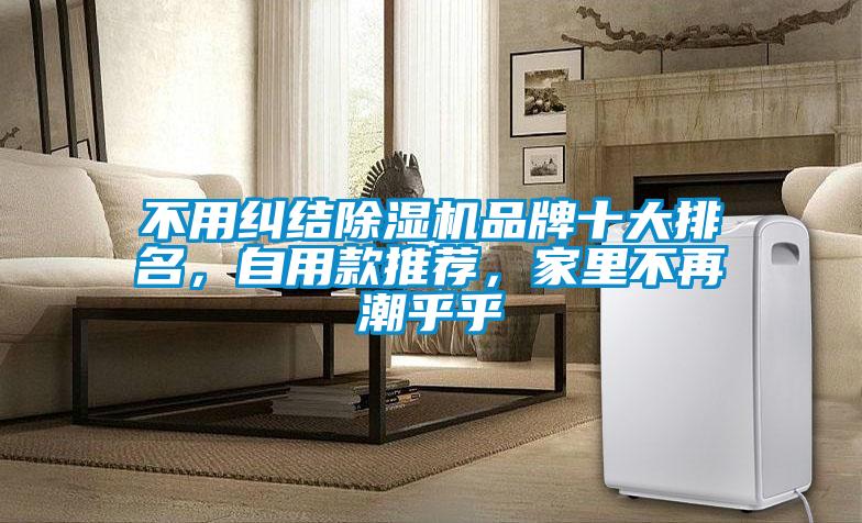 不用糾結除濕機品牌十大排名，自用款推薦，家里不再潮乎乎