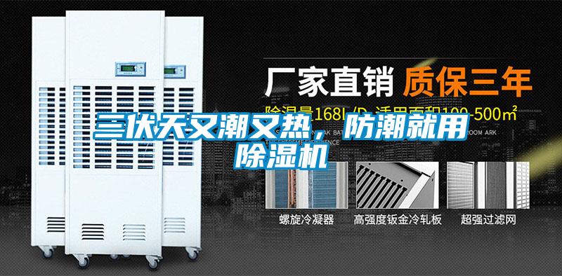 三伏天又潮又熱，防潮就用除濕機