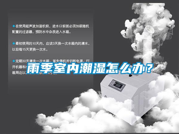 雨季室內潮濕怎么辦？