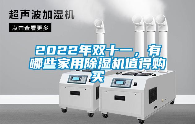 2022年雙十一，有哪些家用除濕機值得購買
