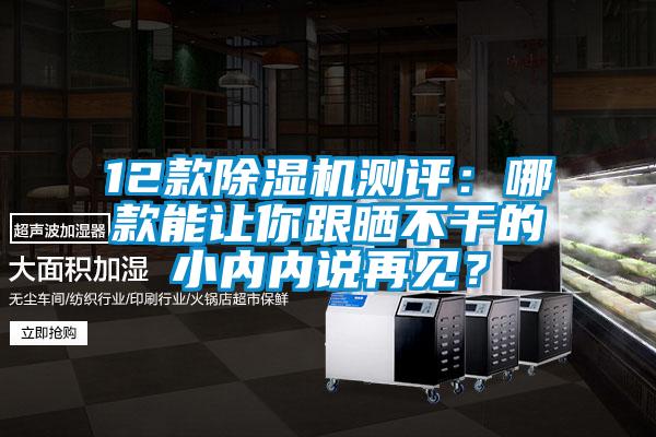 12款除濕機測評：哪款能讓你跟曬不干的小內內說再見？