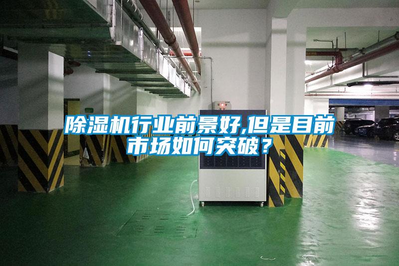 除濕機行業前景好,但是目前市場如何突破？