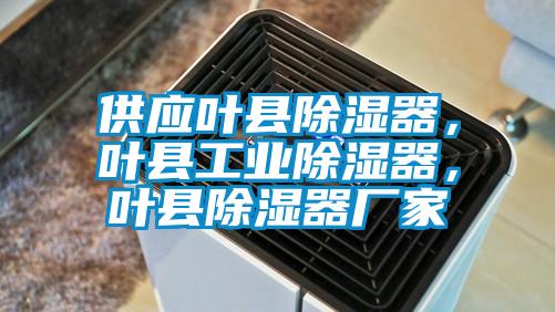 供應葉縣除濕器，葉縣工業除濕器，葉縣除濕器廠家