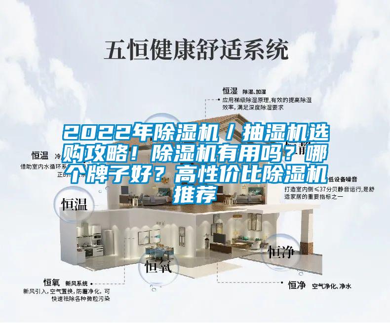 2022年除濕機／抽濕機選購攻略！除濕機有用嗎？哪個牌子好？高性價比除濕機推薦