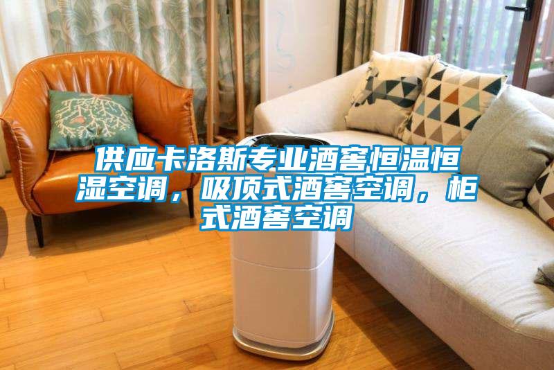 供應卡洛斯專業酒窖恒溫恒濕空調，吸頂式酒窖空調，柜式酒窖空調