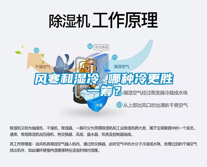 風寒和濕冷 哪種冷更勝一籌？