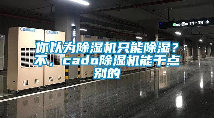 你以為除濕機只能除濕？不，cado除濕機能干點別的