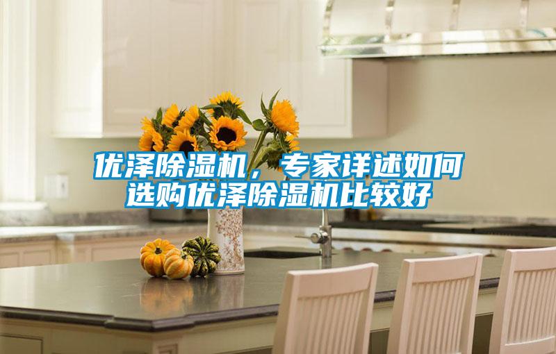 優澤除濕機，專家詳述如何選購優澤除濕機比較好
