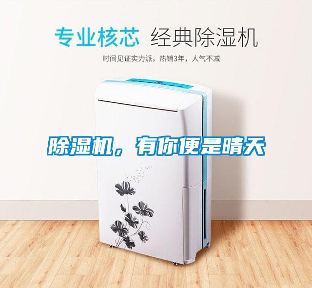 除濕機，有你便是晴天