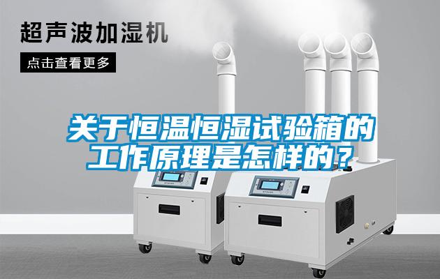 關于恒溫恒濕試驗箱的工作原理是怎樣的？