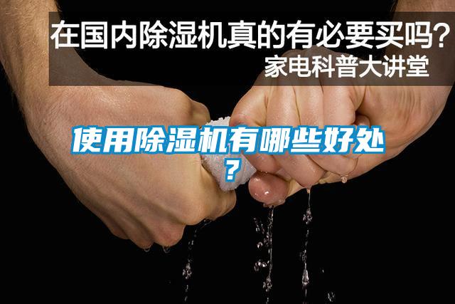 使用除濕機有哪些好處？