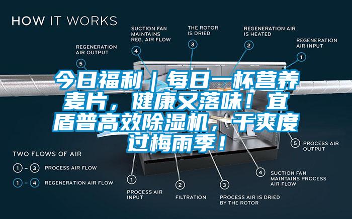 今日福利｜每日一杯營養麥片，健康又落味！宜盾普高效除濕機，干爽度過梅雨季！