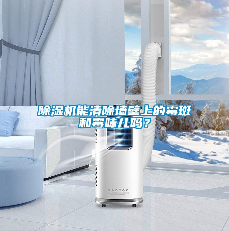 除濕機能清除墻壁上的霉斑和霉味兒嗎？