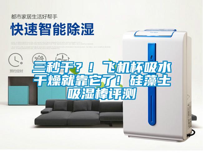 三秒干？! 飛機杯吸水干燥就靠它了! 硅藻土吸濕棒評測