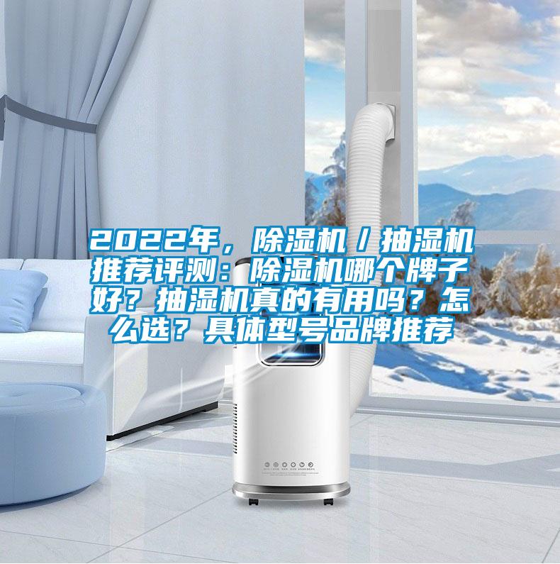 2022年，除濕機／抽濕機推薦評測：除濕機哪個牌子好？抽濕機真的有用嗎？怎么選？具體型號品牌推薦