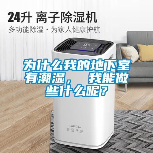 為什么我的地下室有潮濕， 我能做些什么呢？