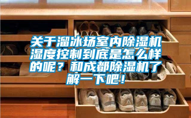 關于溜冰場室內除濕機濕度控制到底是怎么樣的呢？和成都除濕機了解一下吧！