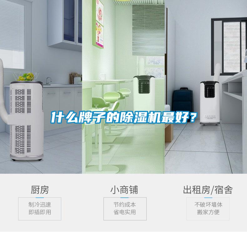 什么牌子的除濕機最好？