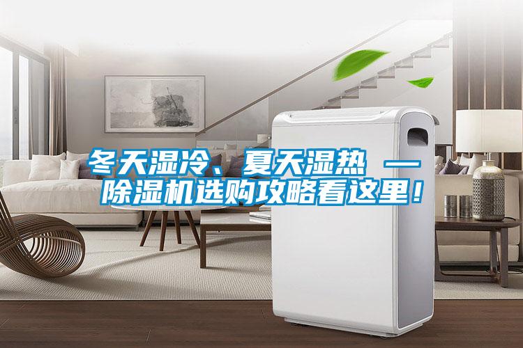 冬天濕冷、夏天濕熱 — 除濕機選購攻略看這里！