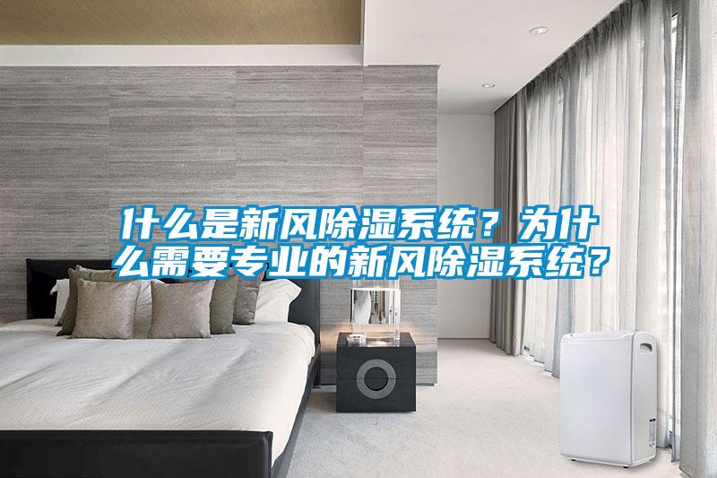 什么是新風除濕系統？為什么需要專業的新風除濕系統？