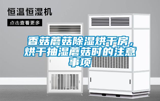香菇蘑菇除濕烘干房，烘干抽濕蘑菇時的注意事項