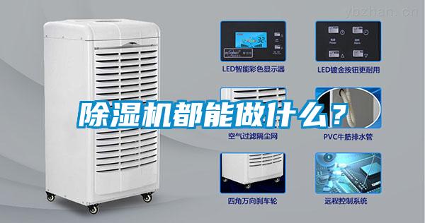 除濕機都能做什么？
