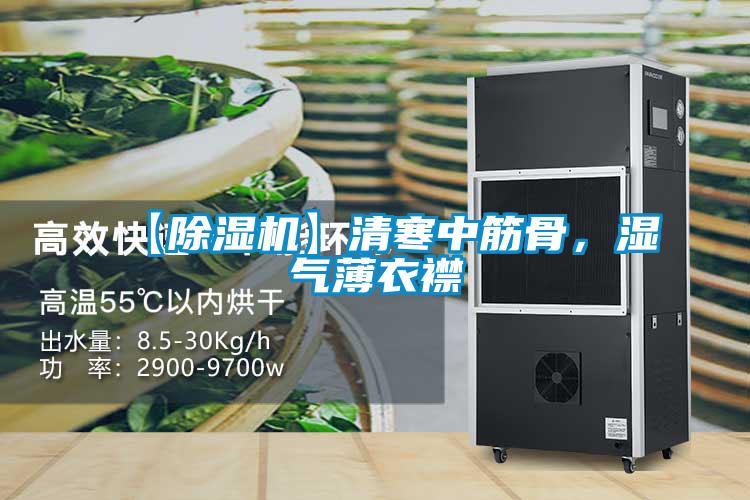 【除濕機】清寒中筋骨，濕氣薄衣襟