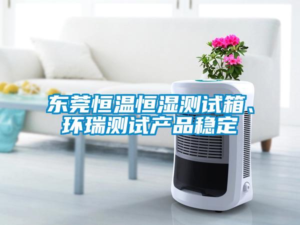 東莞恒溫恒濕測試箱、環瑞測試產品穩定