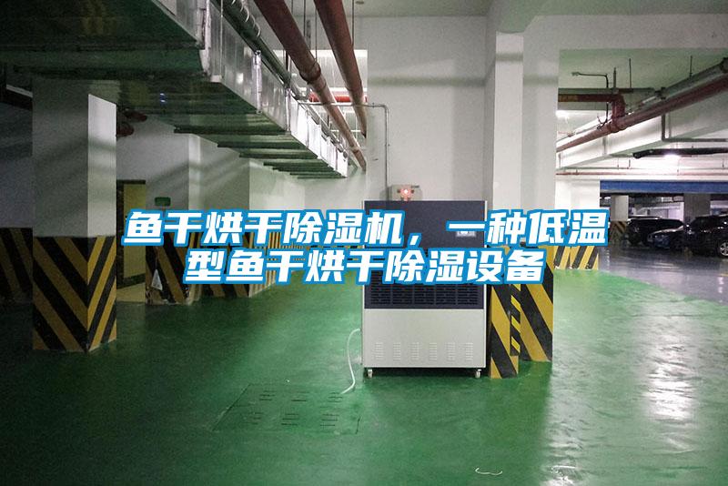 魚干烘干除濕機，一種低溫型魚干烘干除濕設備