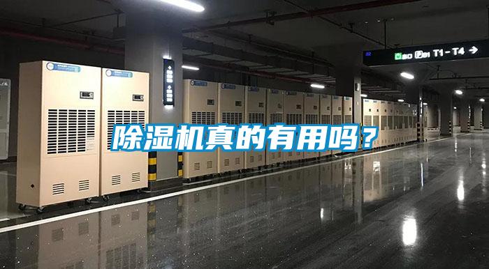 除濕機真的有用嗎？