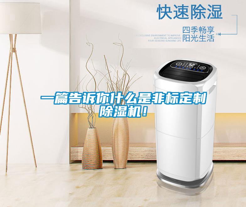 一篇告訴你什么是非標定制除濕機！