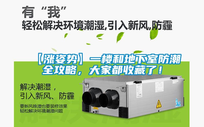 【漲姿勢】一樓和地下室防潮全攻略，大家都收藏了！