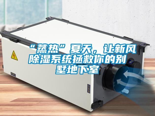 “蒸熱”夏天，讓新風除濕系統拯救你的別墅地下室