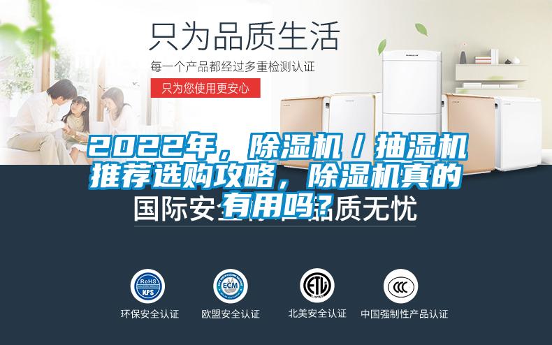 2022年，除濕機／抽濕機推薦選購攻略，除濕機真的有用嗎？