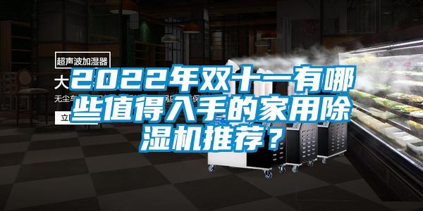 2022年雙十一有哪些值得入手的家用除濕機推薦？