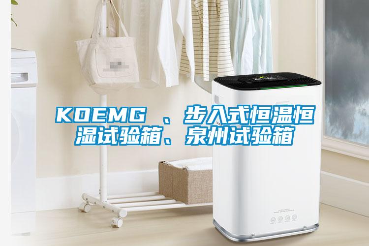 KOEMG 、步入式恒溫恒濕試驗箱、泉州試驗箱