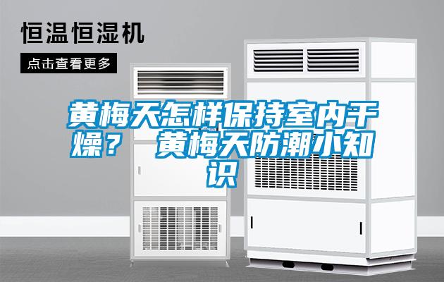 黃梅天怎樣保持室內干燥？ 黃梅天防潮小知識