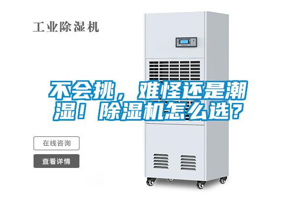 不會挑，難怪還是潮濕！除濕機怎么選？