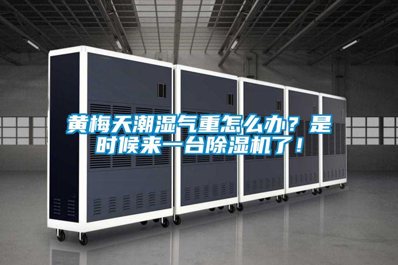 黃梅天潮濕氣重怎么辦？是時候來一臺除濕機了！