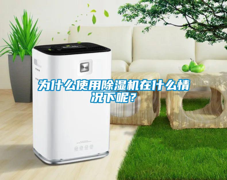 為什么使用除濕機在什么情況下呢？