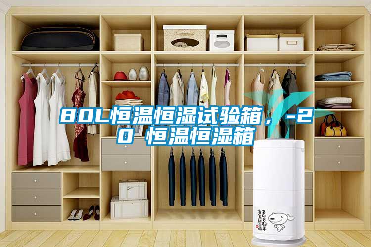 80L恒溫恒濕試驗箱，-20℃恒溫恒濕箱