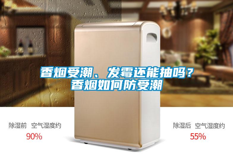 香煙受潮、發霉還能抽嗎？香煙如何防受潮